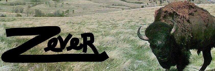 Zever BlackBull banner