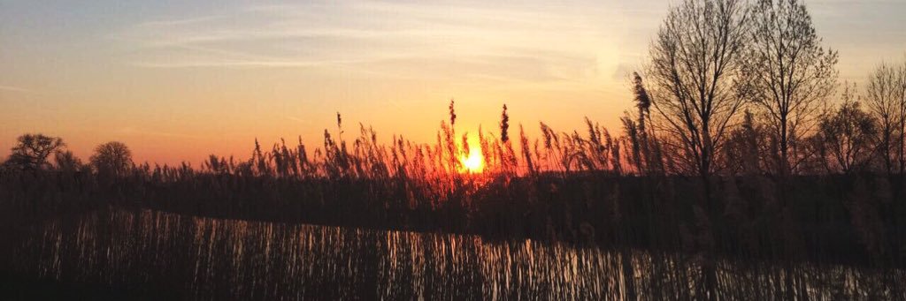 FranckvVelzen's profile banner image