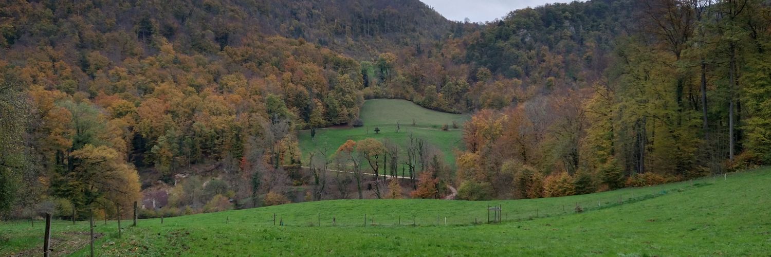 Marco Bertolotti banner