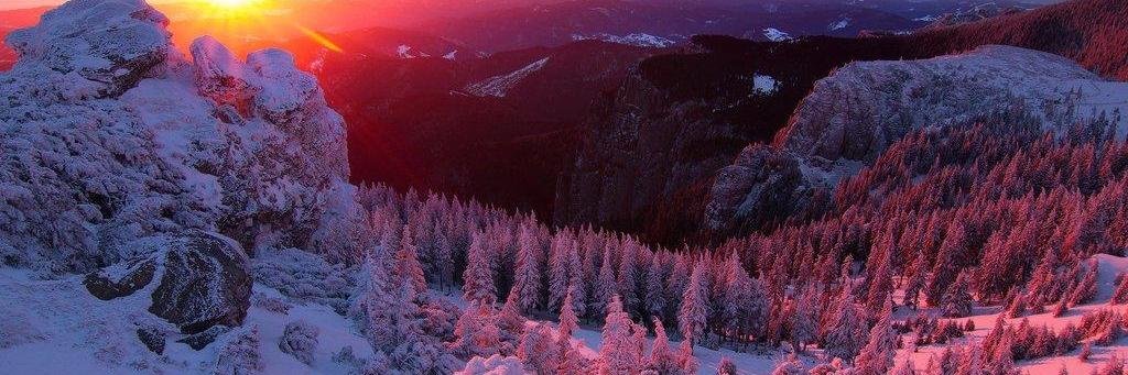 Alessiana 💜 🌎🚀 🦄🕊️ banner