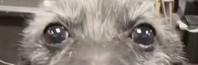 AlejoLuraschi's profile banner image