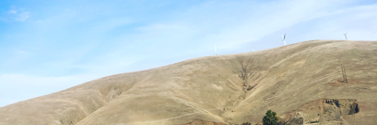 RowellMelody's profile banner image