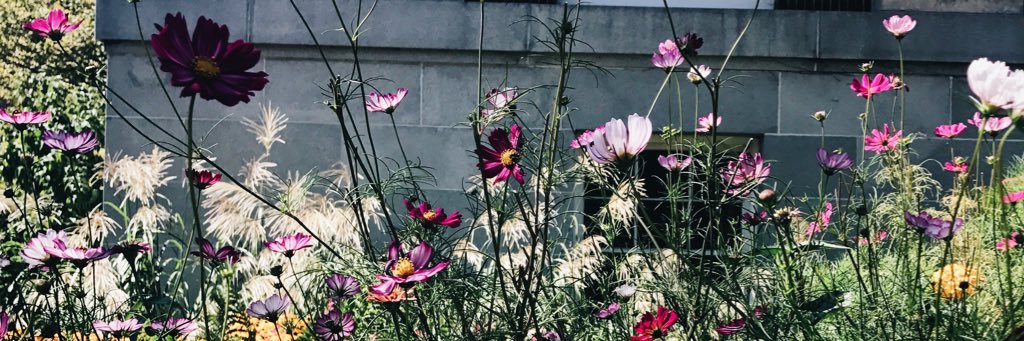 _bellafiore's profile banner image