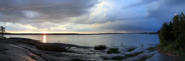 DMCLieberman Profile Banner