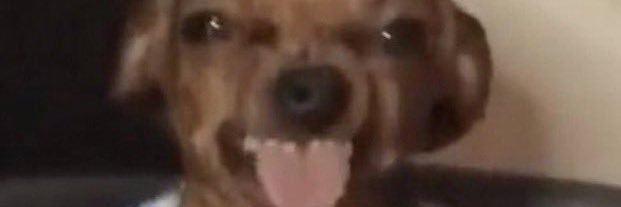 Johnny banner