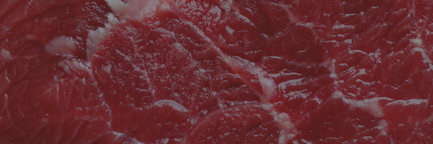 pacholi 🦇🐾 banner