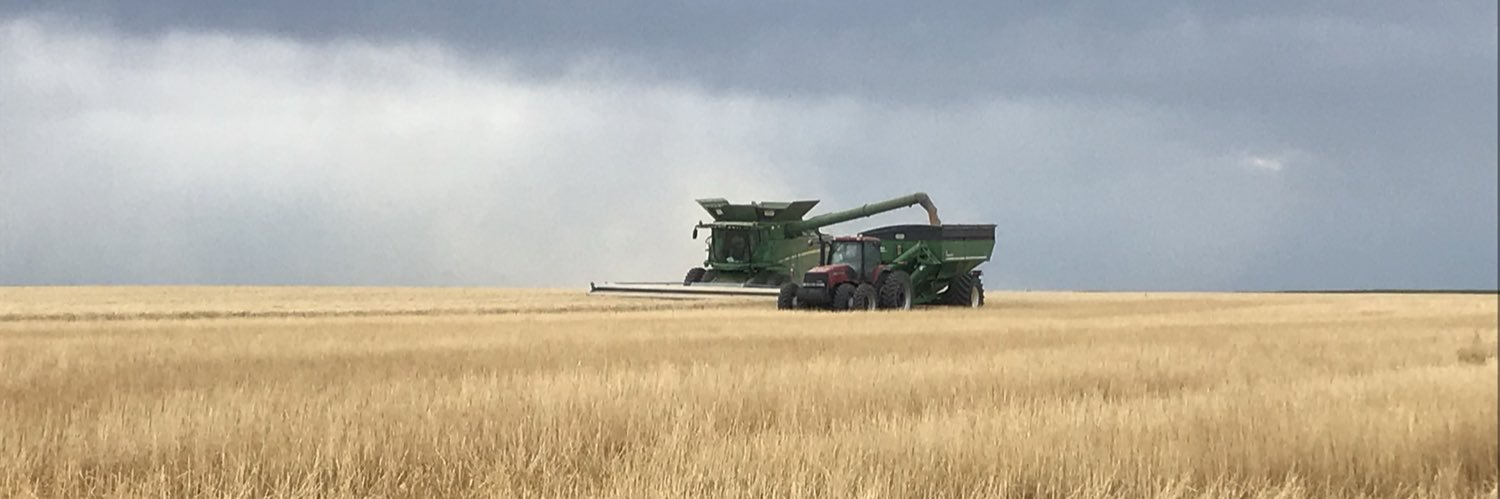 COcornfarmer's profile banner image