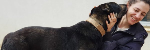 ycamlisoy Profile Banner