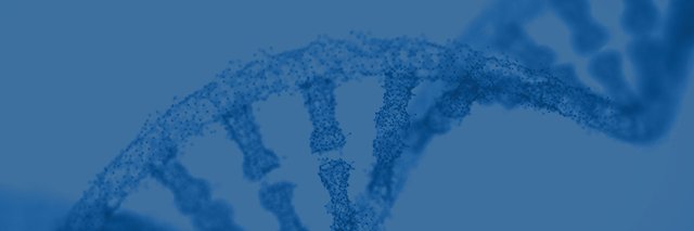 myPathMelanoma's profile banner image