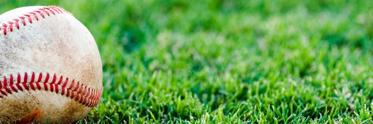 Matthew Davis Jr. banner