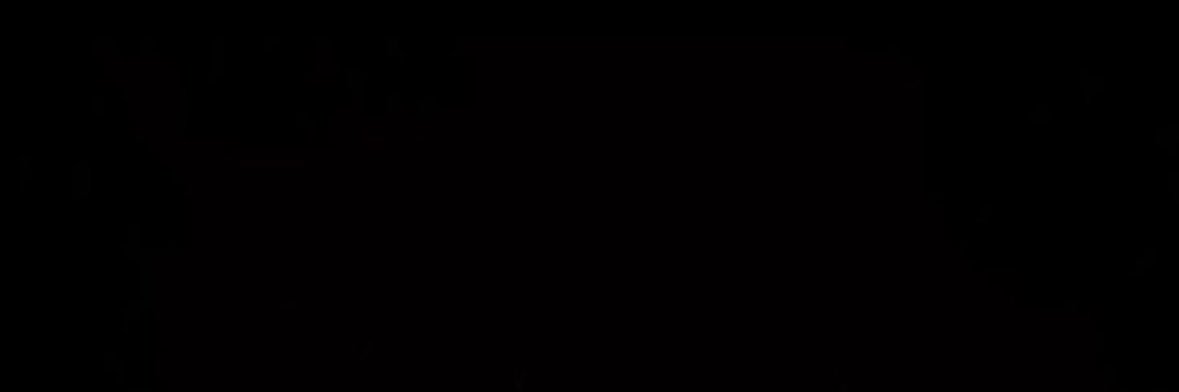 رنو banner