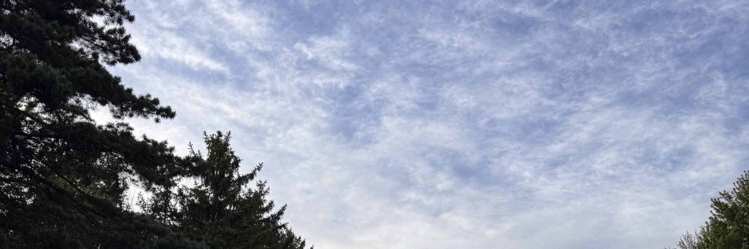 Caleb banner