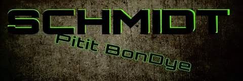 schmidtriposte's profile banner image