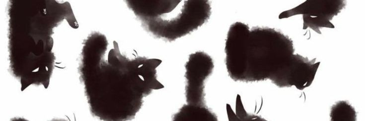 𝐊𝐈𝐄𝐑𝐀𝐍. banner