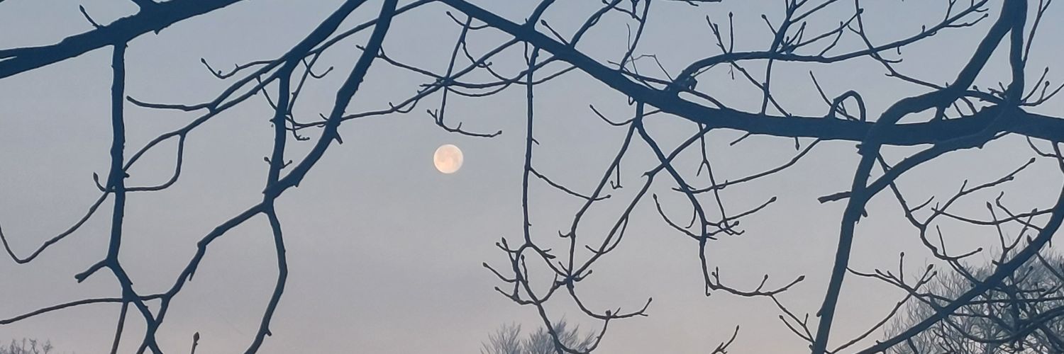AnnMarieMo78's profile banner image