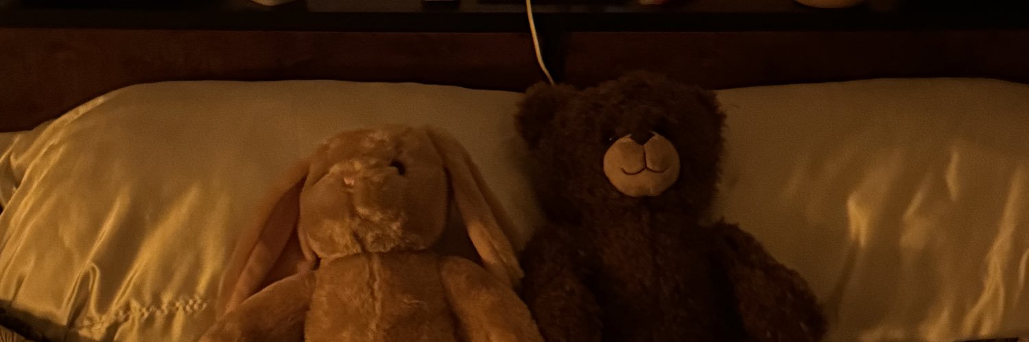 finley ˚ʚ♡ɞ˚ (mels version)'s banner