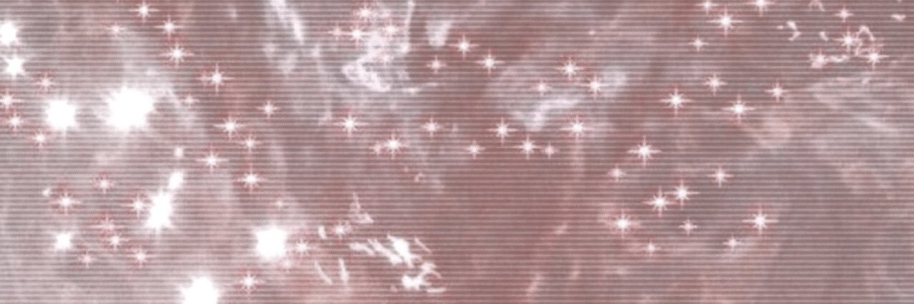 terricherelle_'s profile banner image