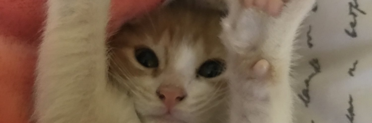 monsecadile's profile banner image