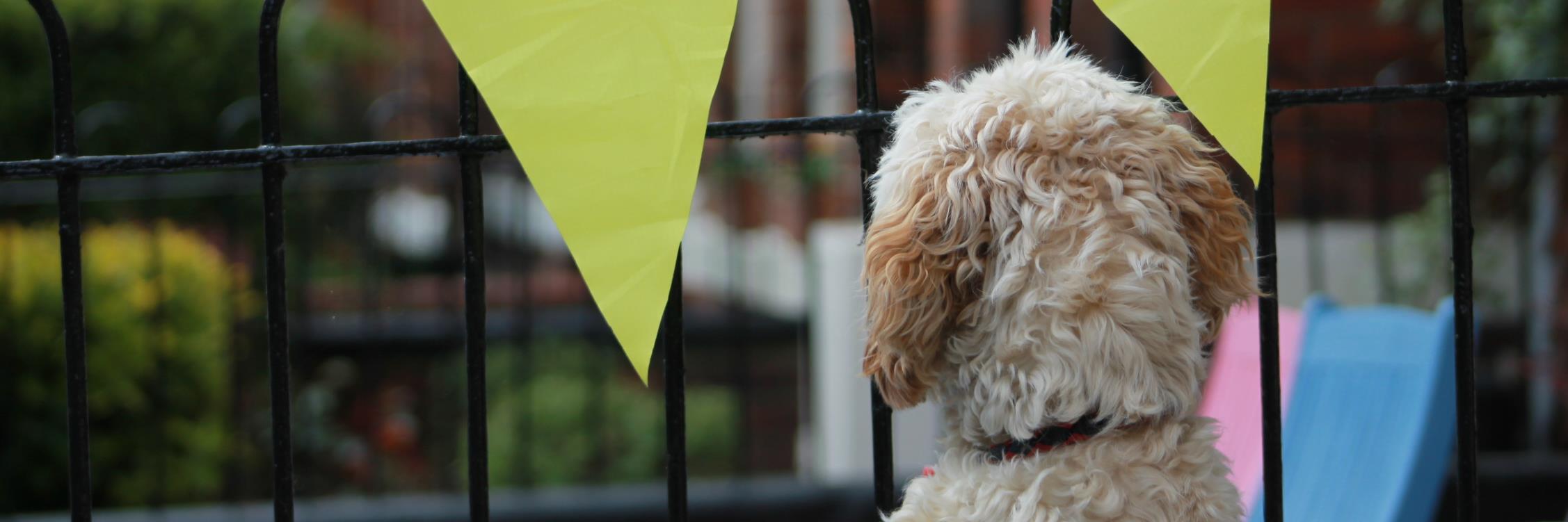 Bishey191's profile banner image