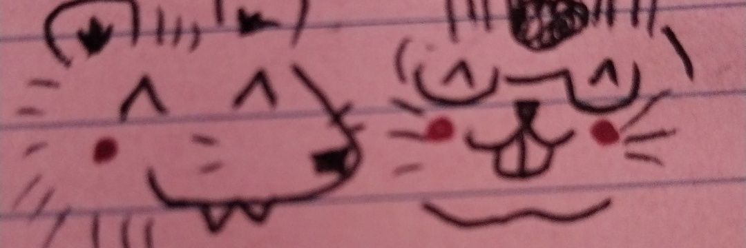 POSSUM No Duerme's banner