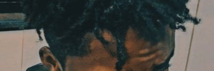 2Too_silly's profile banner image