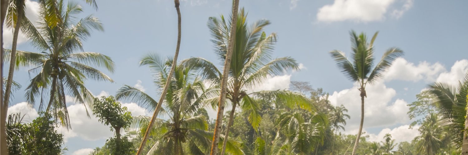 Samford86's profile banner image