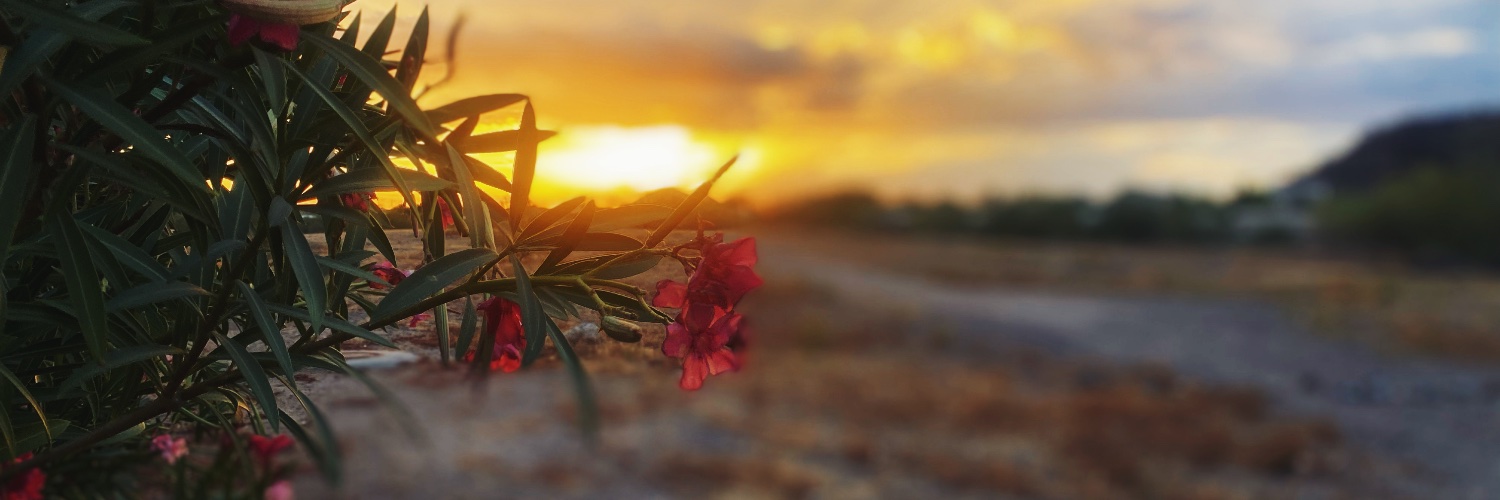 Gypsy Goddess *Feet seller* banner