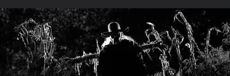 collin_horan's profile banner image