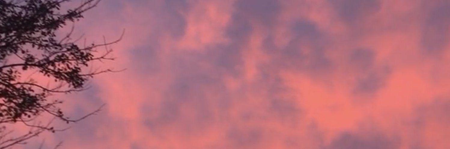 florrvicent's profile banner image