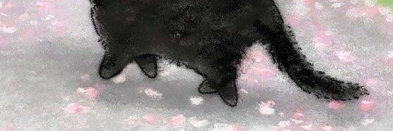 swohiee's profile banner image