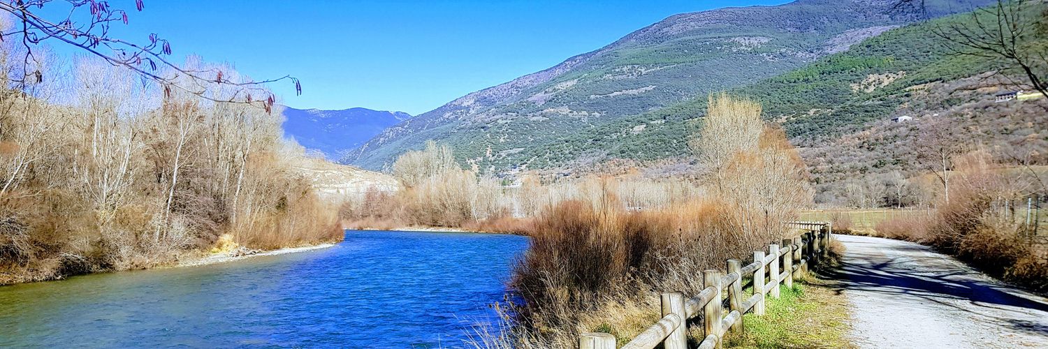 Rosendo Manrique banner