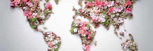 JacklynMFisher's profile banner image