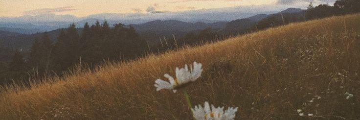 enterwitfakeid's profile banner image