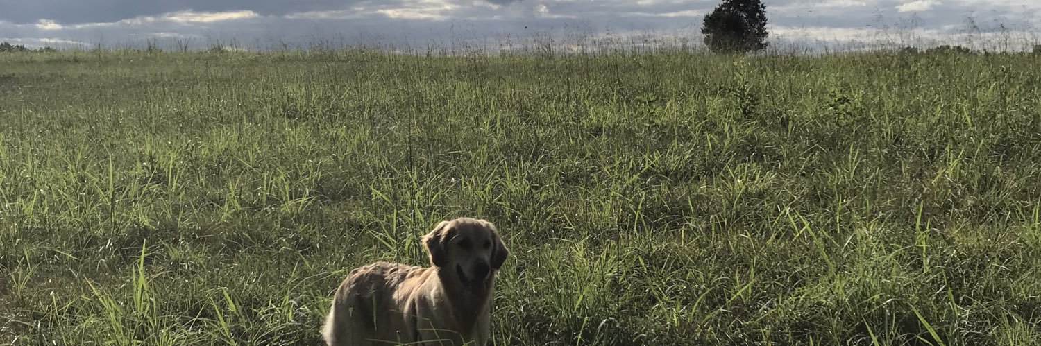 MeganLowryDC's profile banner image
