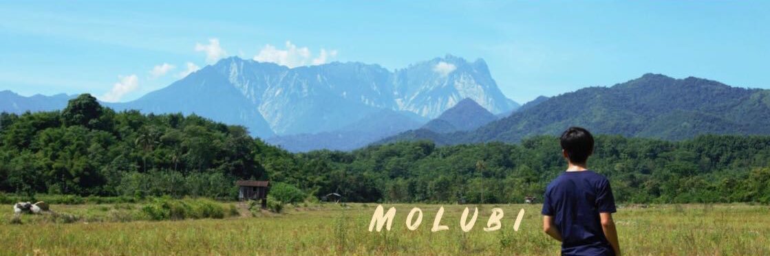 molubiii's profile banner image