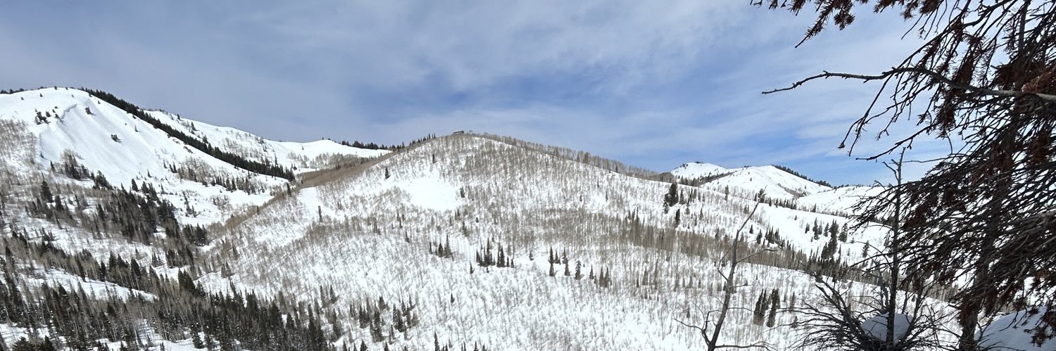 jamesbuttafuoco's profile banner image