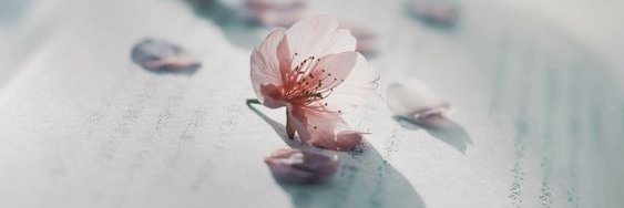 Trevas banner
