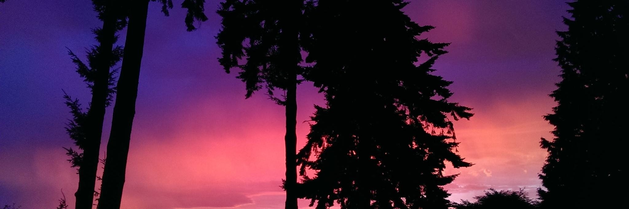 CATVIDE0S's profile banner image