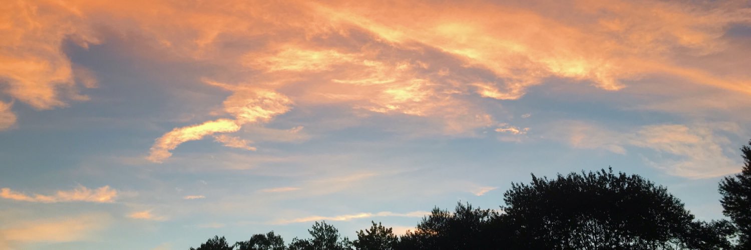 _amandaaramos's profile banner image