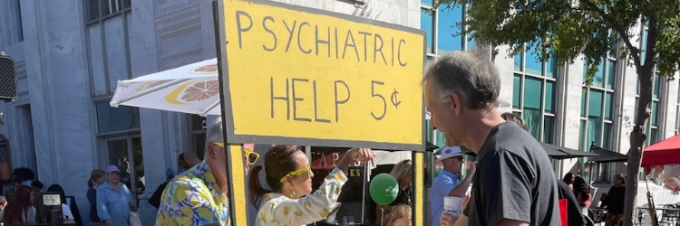 Village Idiot's banner