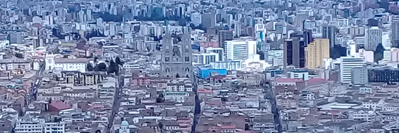 Maricarmen Cedeño🌻🌼🌷 banner