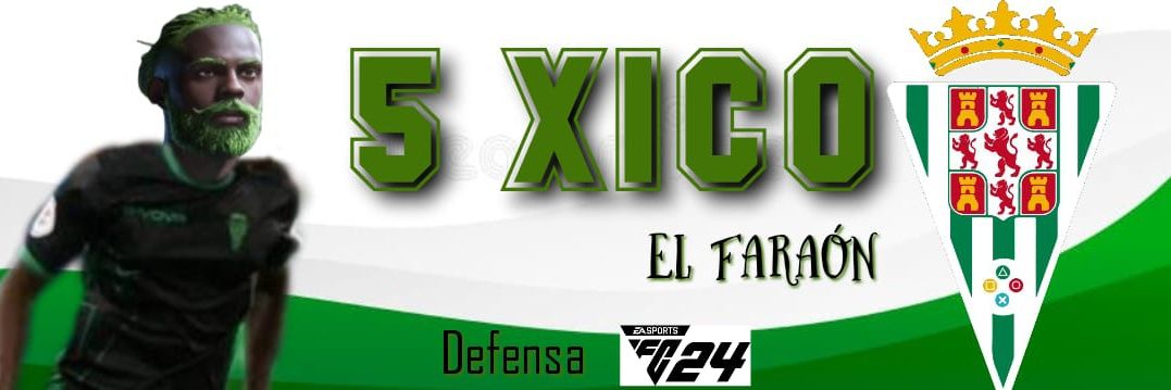 SoloFiFaXx banner