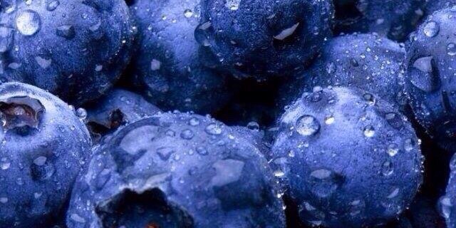 Too Your Health banner