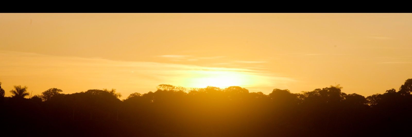 Marcos Candido banner