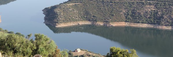 milo_t_m Profile Banner