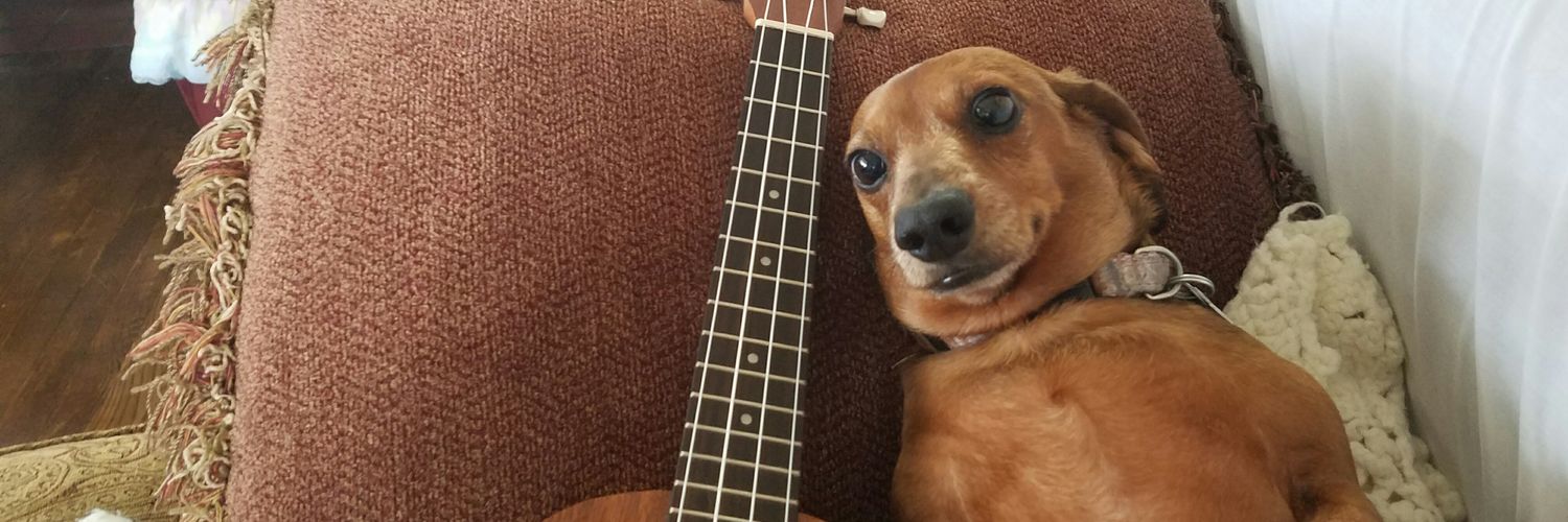 pugsareugly's profile banner image