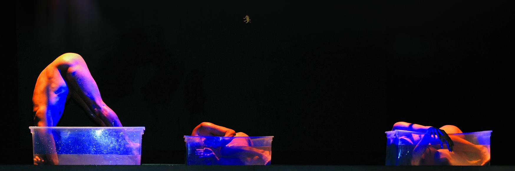 Rocío Becerrril banner