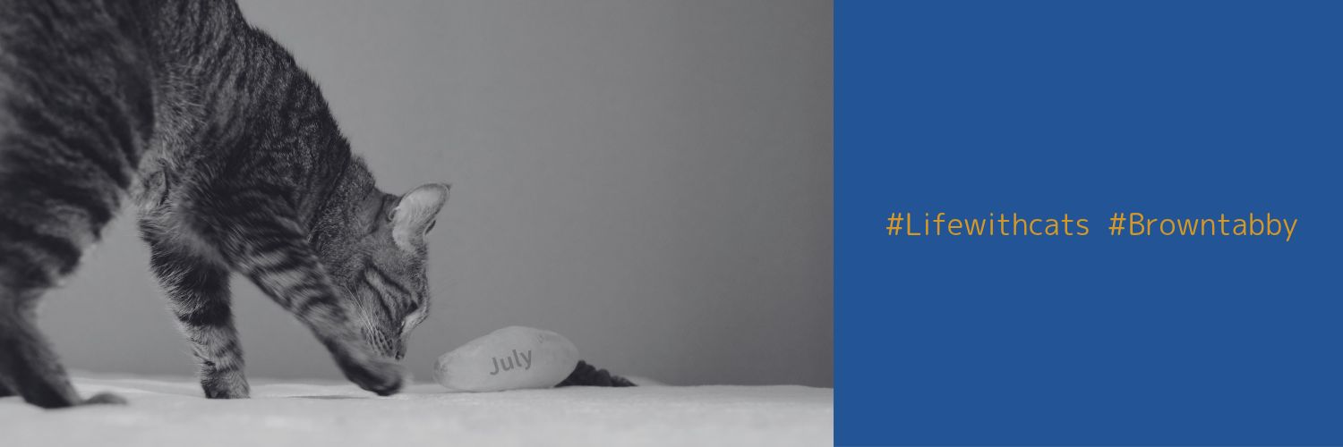oborow's profile banner image