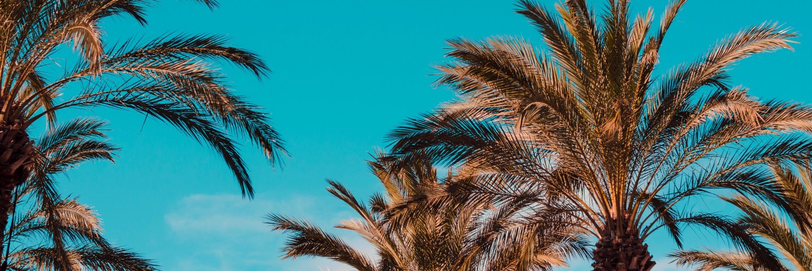 Jerry_conmezcal's profile banner image