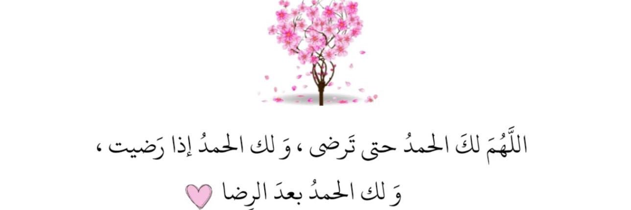 mo1237897's profile banner image